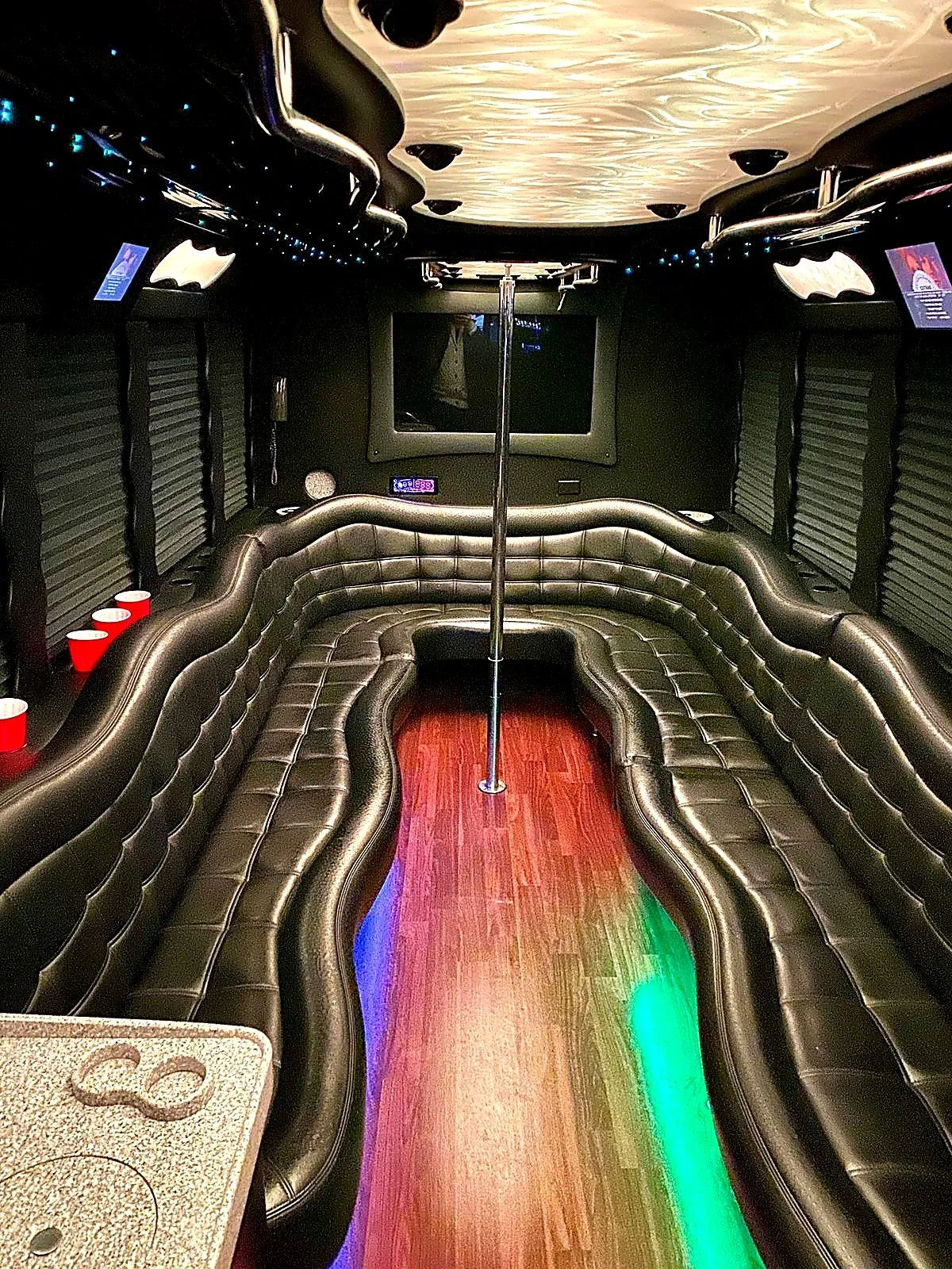 Bachelorette group on the party bus