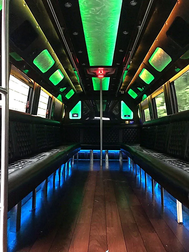 Green LED interior with wood floor and dance pole